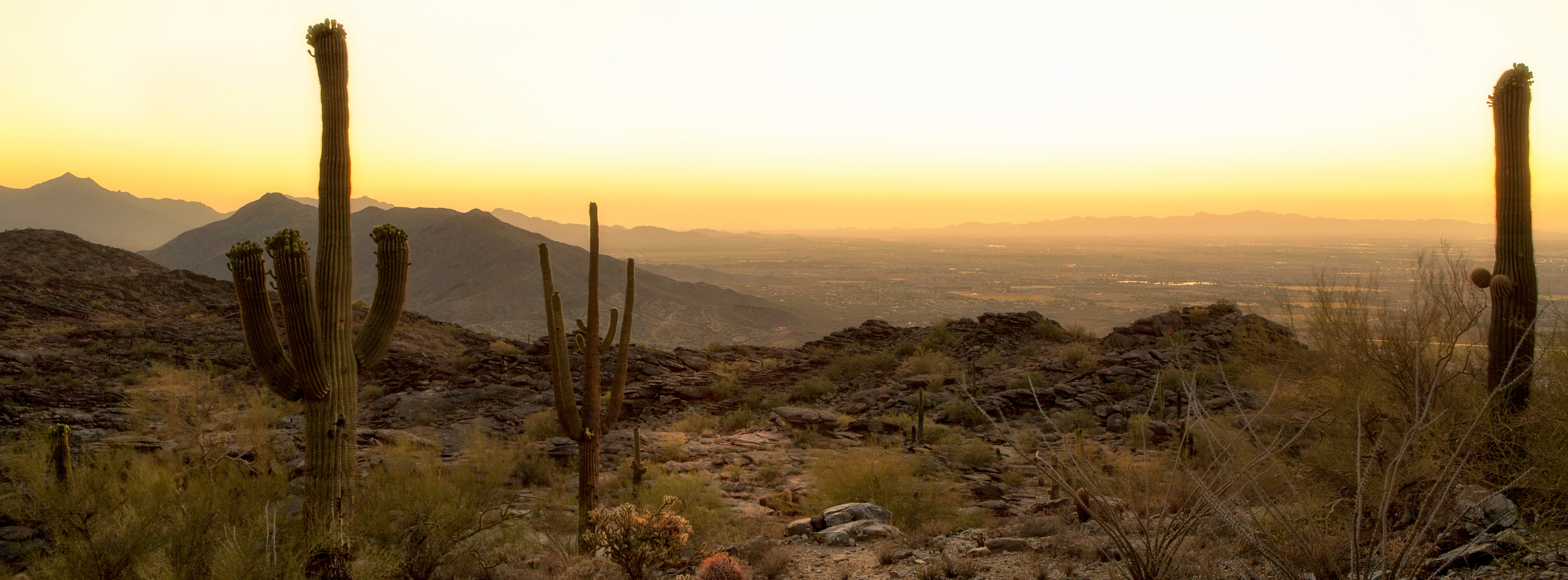 Phoenix Arizona Desert 